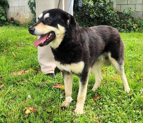 FULVIO CERCA CASA Foto 3